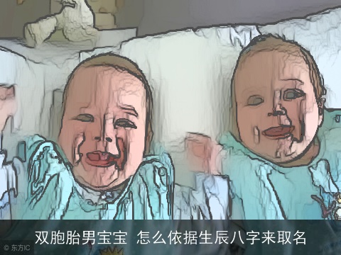双胞胎男宝宝 怎么依据生辰八字来取名