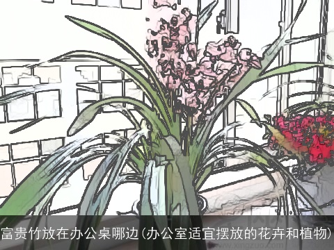 富贵竹放在办公桌哪边(办公室适宜摆放的花卉和植物)