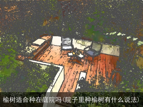 榆树适合种在庭院吗(院子里种榆树有什么说法)