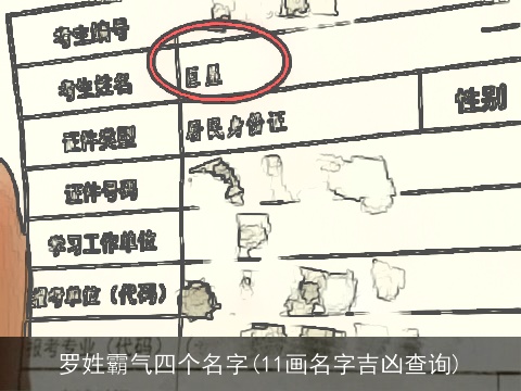 罗姓霸气四个名字(11画名字吉凶查询)