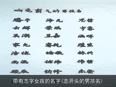 带有志字女孩的名字(志开头的男孩名)