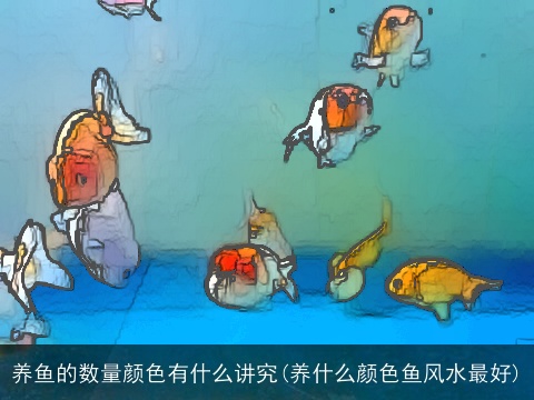 养鱼的数量颜色有什么讲究(养什么颜色鱼风水最好)
