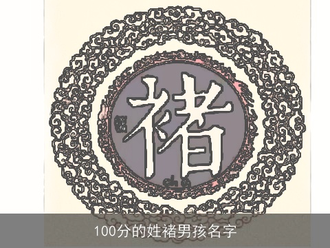 100分的姓褚男孩名字