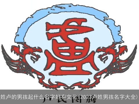 姓卢的男孩起什么名字好有文化(2023卢姓男孩名字大全)