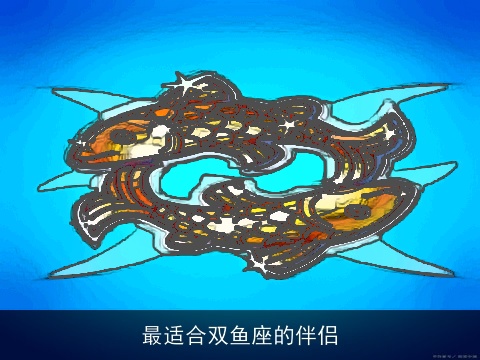 最适合双鱼座的伴侣