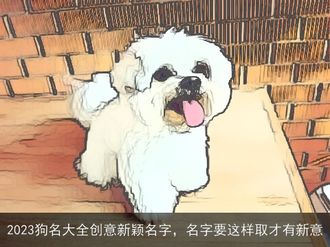2023狗名大全创意新颖名字，名字要这样取才有新意