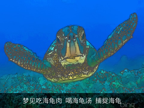 梦见吃海龟肉 喝海龟汤 捕捉海龟