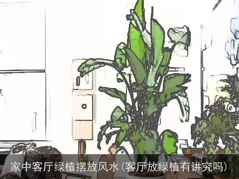 家中客厅绿植摆放风水(客厅放绿植有讲究吗)