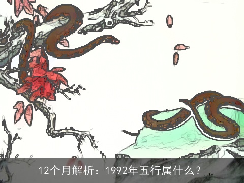 12个月解析：1992年五行属什么？