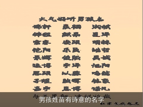 男孩姓苗有诗意的名字