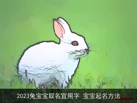 2023兔宝宝取名宜用字 宝宝起名方法