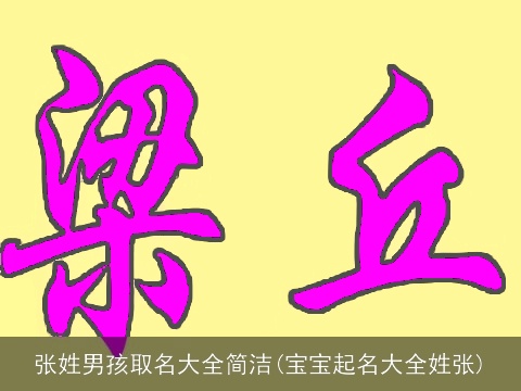 张姓男孩取名大全简洁(宝宝起名大全姓张)