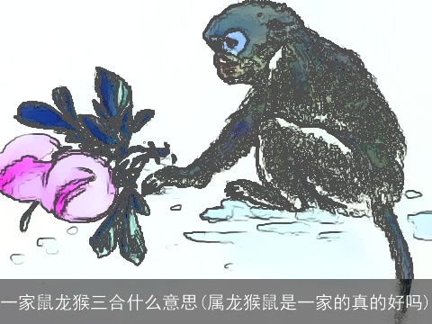 一家鼠龙猴三合什么意思(属龙猴鼠是一家的真的好吗)