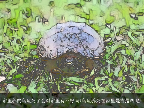 家里养的乌龟死了会对家里有不好吗(乌龟养死在家里是吉是凶呢)