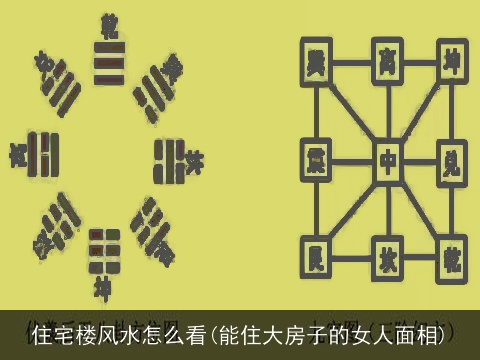 住宅楼风水怎么看(能住大房子的女人面相)