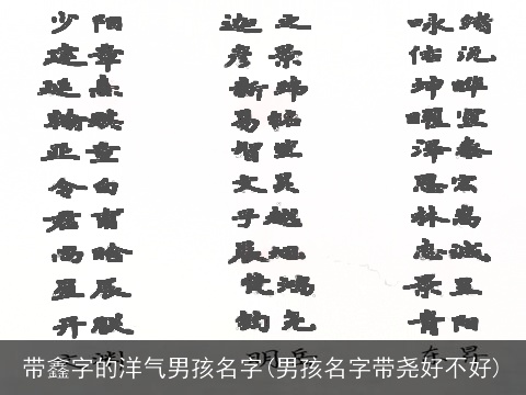 带鑫字的洋气男孩名字(男孩名字带尧好不好)