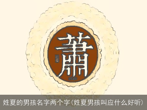 姓夏的男孩名字两个字(姓夏男孩叫应什么好听)