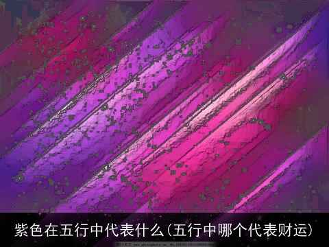 紫色在五行中代表什么(五行中哪个代表财运)