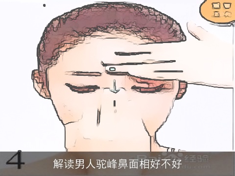 解读男人驼峰鼻面相好不好