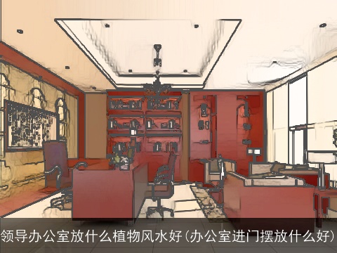 领导办公室放什么植物风水好(办公室进门摆放什么好)