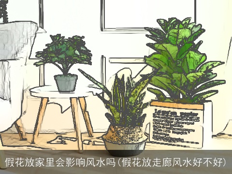 假花放家里会影响风水吗(假花放走廊风水好不好)