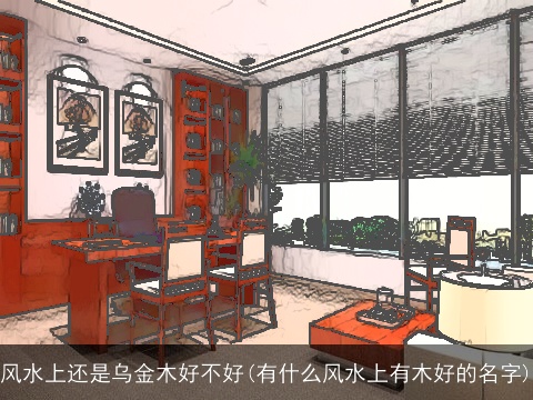 风水上还是乌金木好不好(有什么风水上有木好的名字)