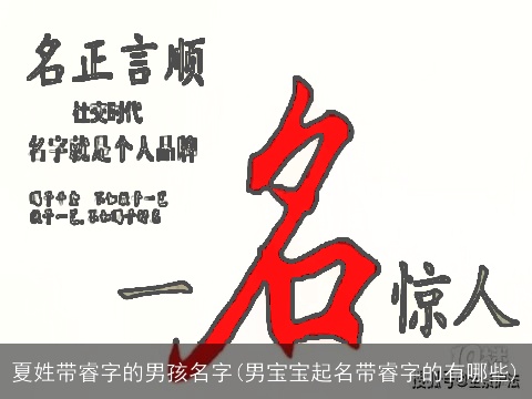 夏姓带睿字的男孩名字(男宝宝起名带睿字的有哪些)