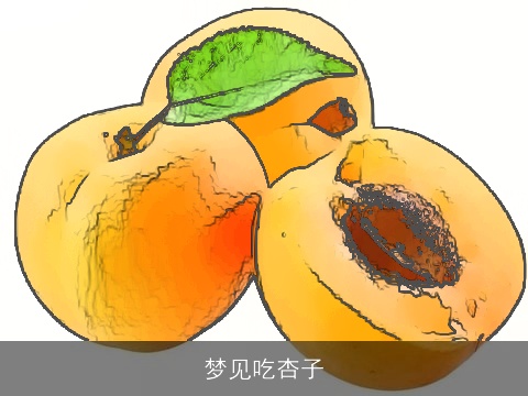 梦见吃杏子