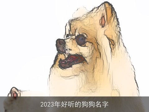 2023年好听的狗狗名字