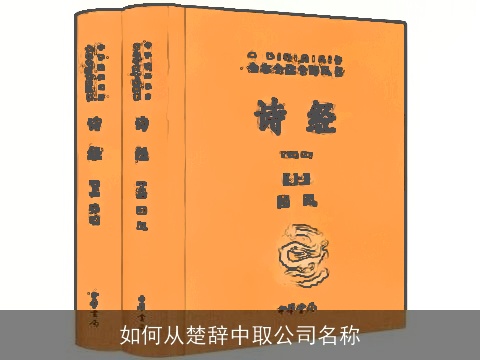 如何从楚辞中取公司名称
