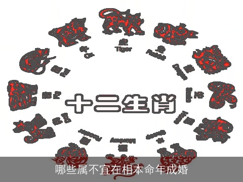 哪些属不宜在相本命年成婚