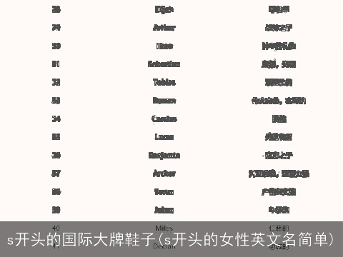 s开头的国际大牌鞋子(s开头的女性英文名简单)
