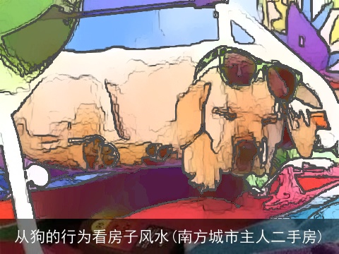 从狗的行为看房子风水(南方城市主人二手房)