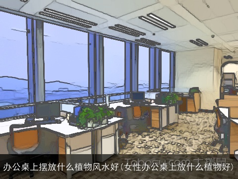 办公桌上摆放什么植物风水好(女性办公桌上放什么植物好)