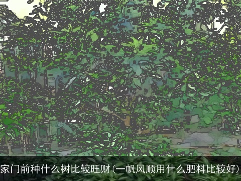 家门前种什么树比较旺财(一帆风顺用什么肥料比较好)