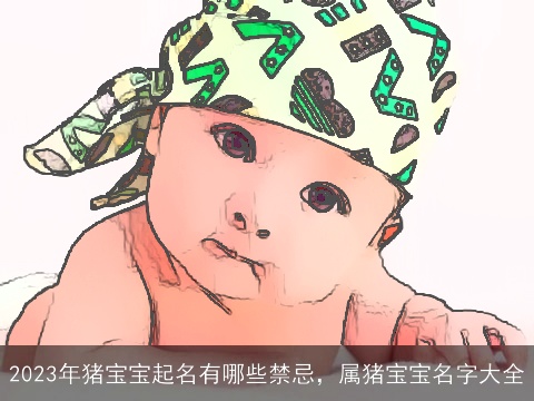 2023年猪宝宝起名有哪些禁忌，属猪宝宝名字大全