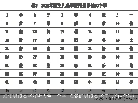 姓张男孩名字好听大全一个字(姓张的男孩名字洋气的两个字)
