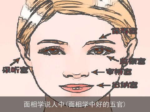 面相学说人中(面相学中好的五官)