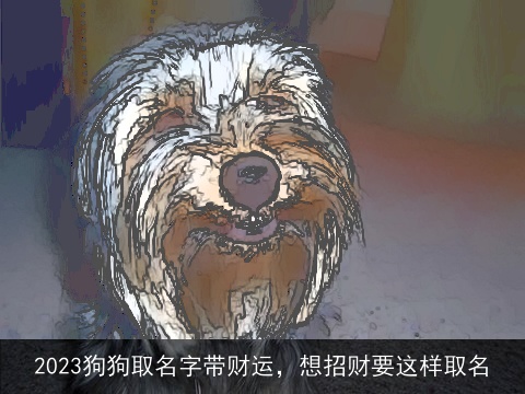 2023狗狗取名字带财运，想招财要这样取名