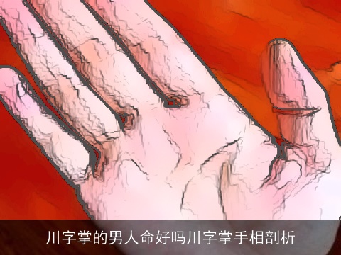 川字掌的男人命好吗川字掌手相剖析