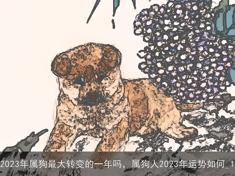 2023年属狗最大转变的一年吗，属狗人2023年运势如何_1