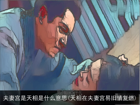 夫妻宫是天相是什么意思(天相在夫妻宫易旧情复燃)