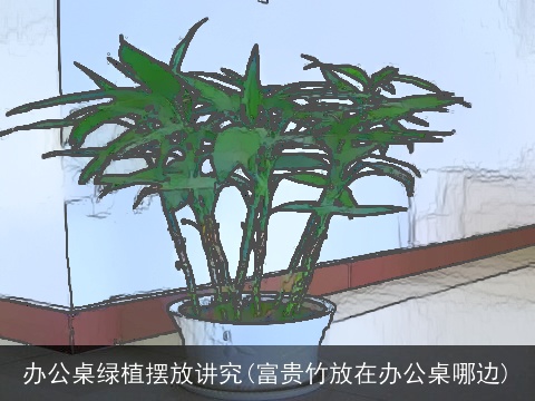 办公桌绿植摆放讲究(富贵竹放在办公桌哪边)