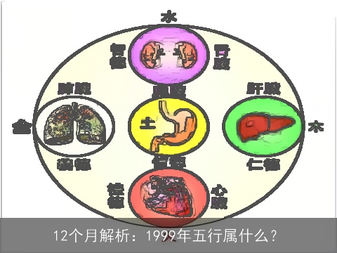 12个月解析：1999年五行属什么？