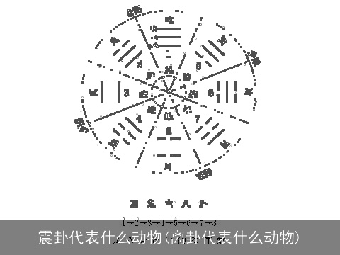 震卦代表什么动物(离卦代表什么动物)