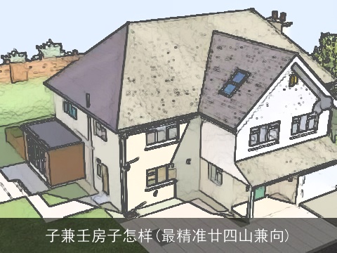 子兼壬房子怎样(最精准廿四山兼向)