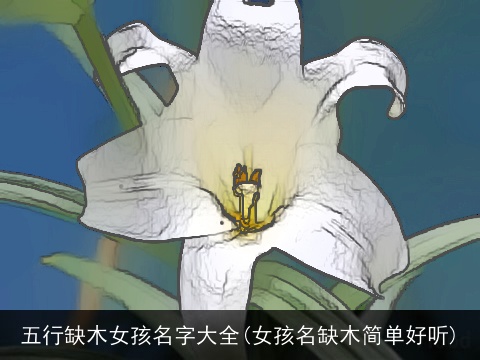 五行缺木女孩名字大全(女孩名缺木简单好听)
