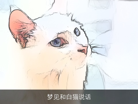 梦见和白猫说话