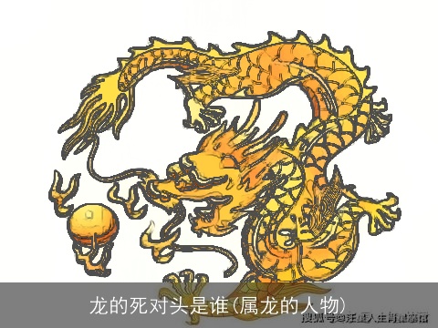 龙的死对头是谁(属龙的人物)