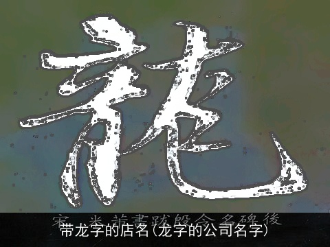 带龙字的店名(龙字的公司名字)